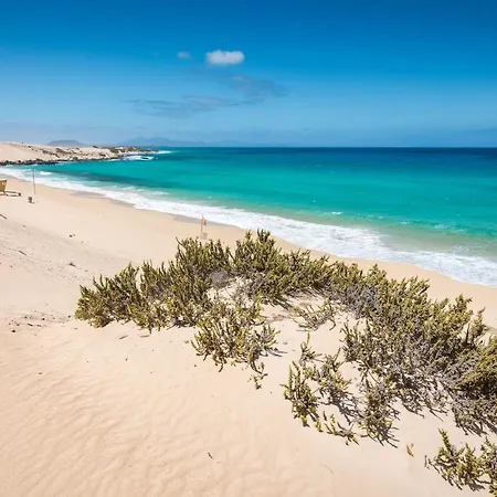 Home2book Hola Rolls Center Corralejo